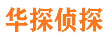 九龙市调查公司